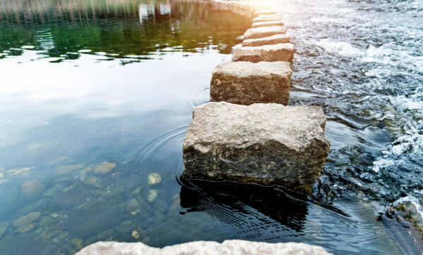 Steady Path Plan — $950 / year