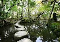 inexpensive mental health care, ADHD, Anxiety, depression treatment, virtually in Colorado.